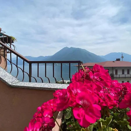 Geranium Argegno
